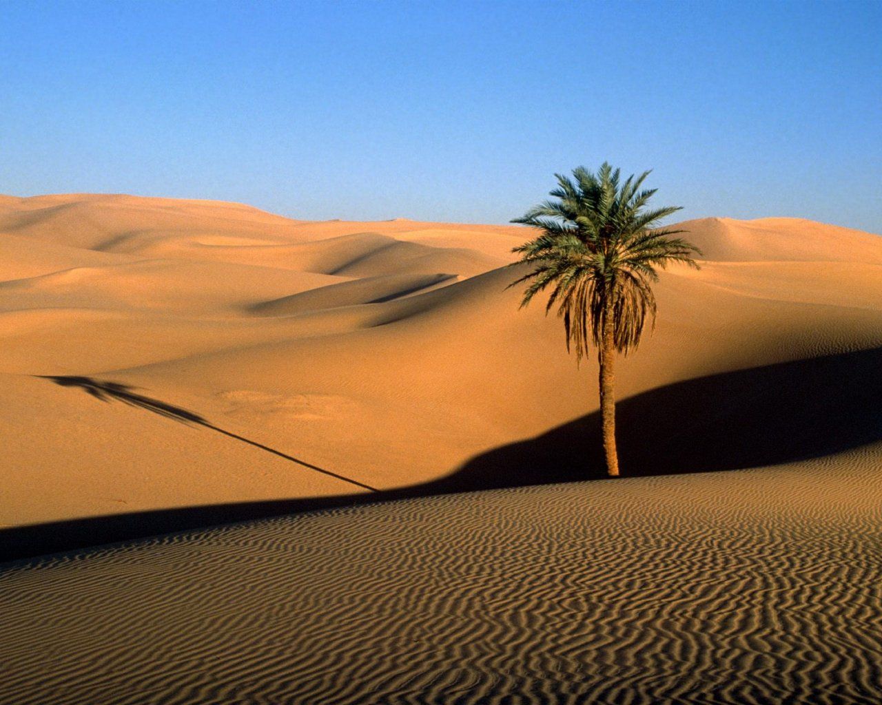 Западная Сахара фото #8532