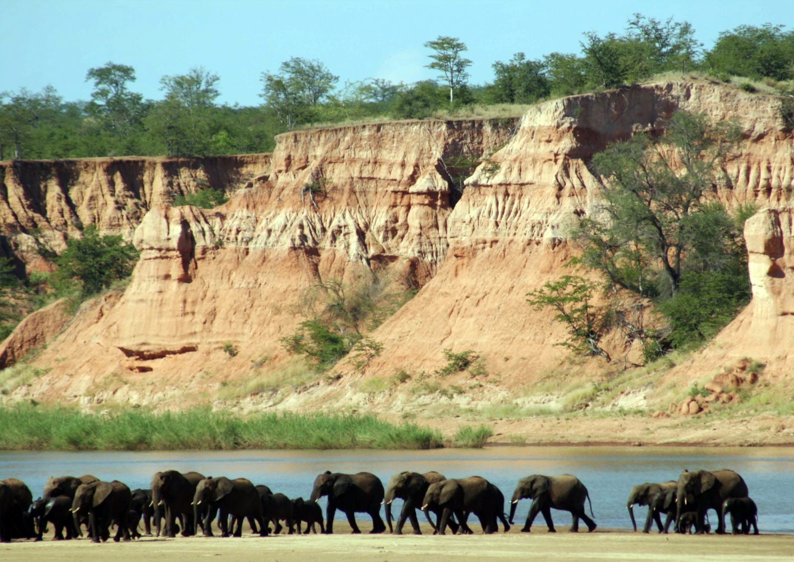 Гонарежу Национальный парк, Зимбабве фото #17712