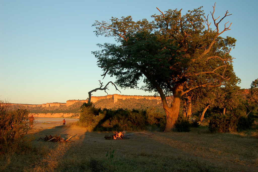 Гонарежу Национальный парк, Зимбабве фото #17720