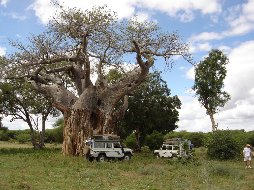 Гонарежу Национальный парк, Зимбабве фото #17728