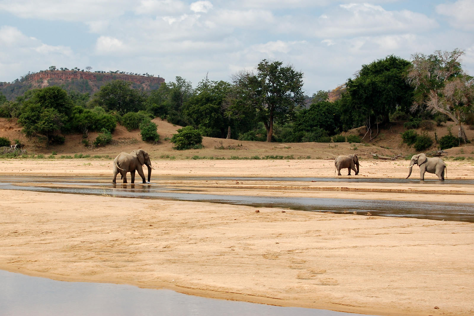 Гонарежу Национальный парк, Зимбабве фото #17731